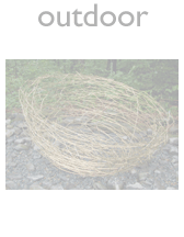 Nest